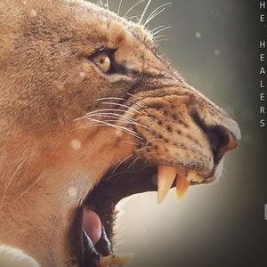 Meet your Posher, Napoleon